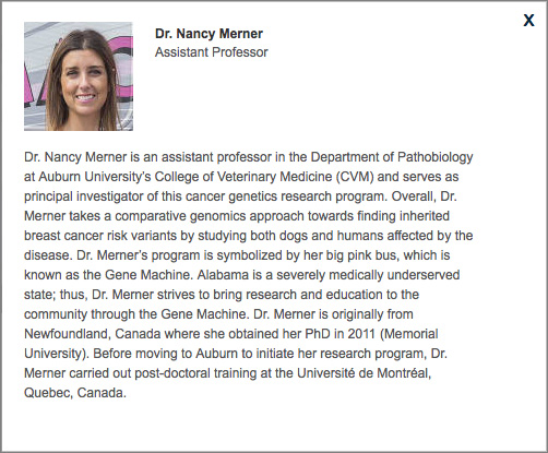 Nancy Merner bio